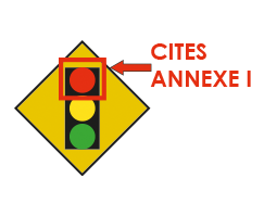 CITES_annexe_1.png